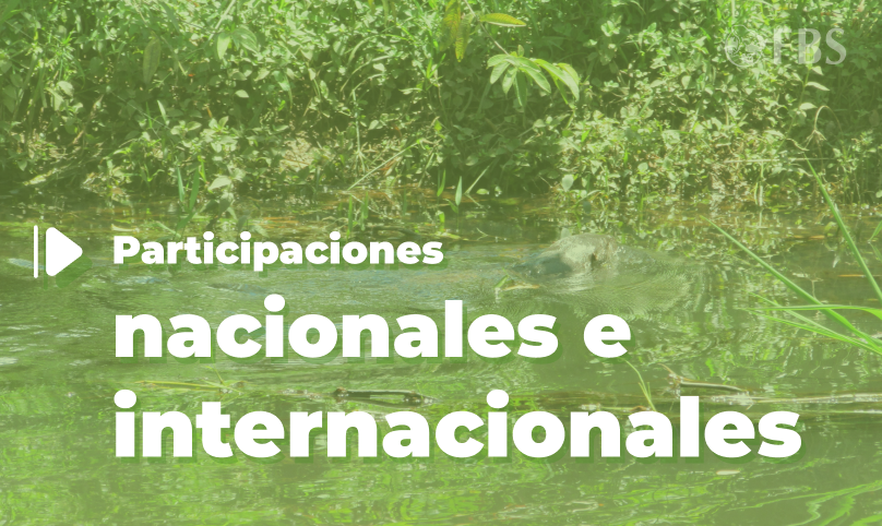 Participaciones
