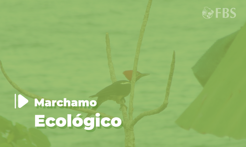 Marchamo Ecológico