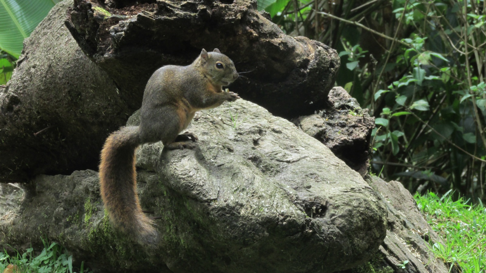 WhatsApp Image 2025-09-10 at 1.48.38 PM (12)