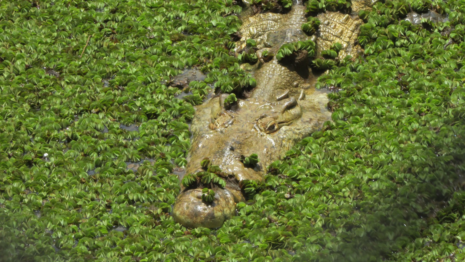 WhatsApp Image 2025-09-10 at 1.48.38 PM (13)