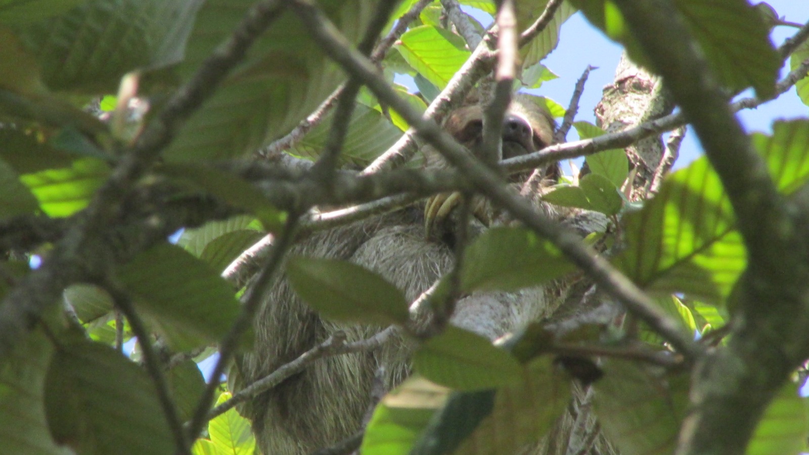 WhatsApp Image 2025-09-10 at 1.48.38 PM (16)