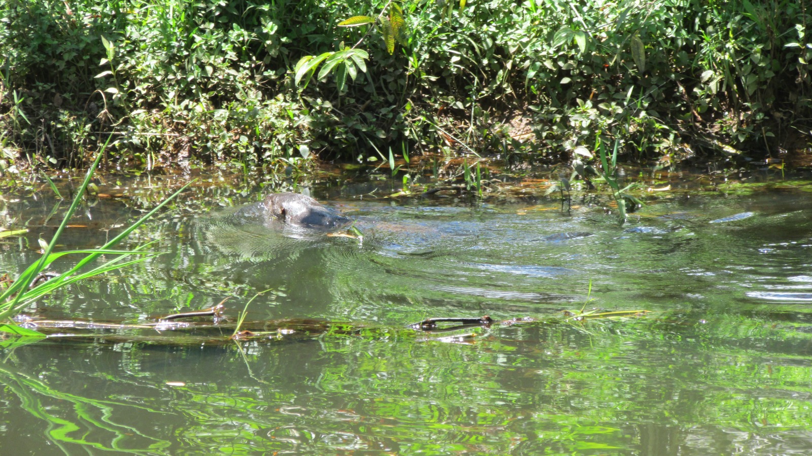 WhatsApp Image 2025-09-10 at 10.57.01 AM (1)